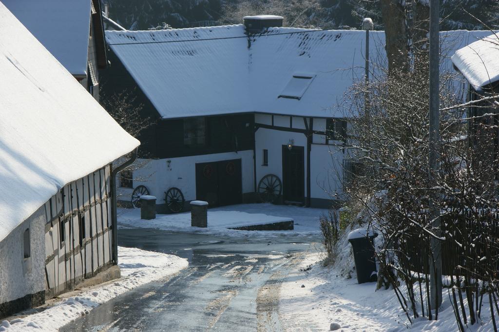 Eifelhoeve In Benenberg Hellenthal Chambre photo
